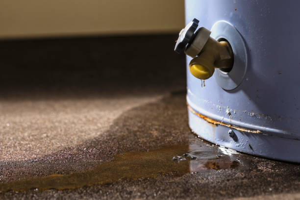 Best Basement water damage restoration  in Clementon, NJ