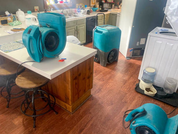 Best Water damage restoration near me  in Clementon, NJ