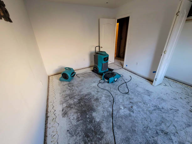 Best Local water damage restoration  in Clementon, NJ