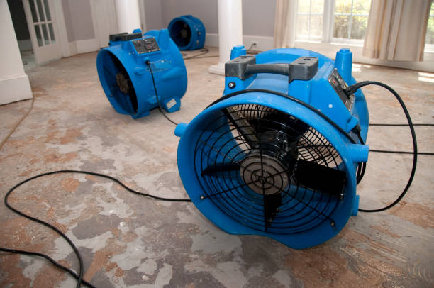 Best Water damage restoration experts  in Clementon, NJ
