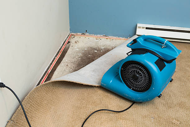 Best Ceiling water damage repair  in Clementon, NJ